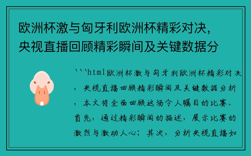 欧洲杯激与匈牙利欧洲杯精彩对决，央视直播回顾精彩瞬间及关键数据分析