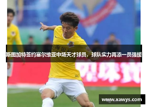 斯图加特签约塞尔维亚中场天才球员，球队实力再添一员强援