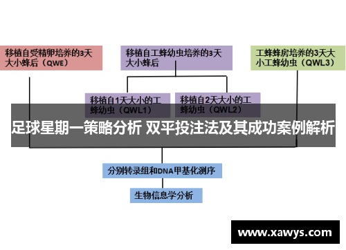 足球星期一策略分析 双平投注法及其成功案例解析