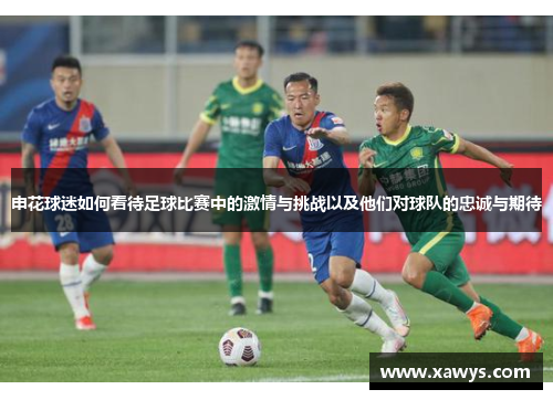 申花球迷如何看待足球比赛中的激情与挑战以及他们对球队的忠诚与期待