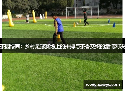 茶园绿茵：乡村足球赛场上的拼搏与茶香交织的激情对决